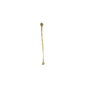 图 1-22 胫骨和腓骨（示腓骨）