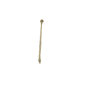 图2-23 胫骨和腓骨（示腓骨）